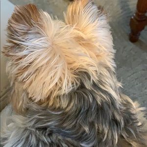 Meet your Posher, Dara